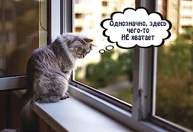 Что такое сетка Анти-Кошка (Pet Screen)