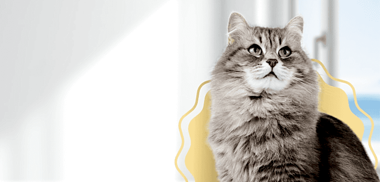 Антикошка (Pet Screen)
