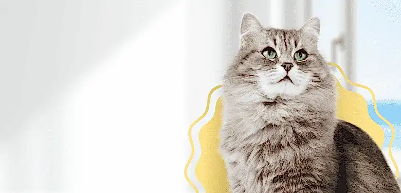 Антикошка (Pet Screen)